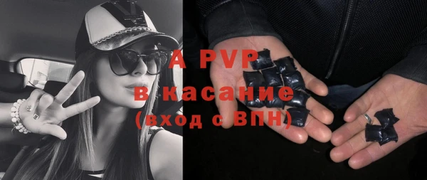 мяу мяу мука Баксан
