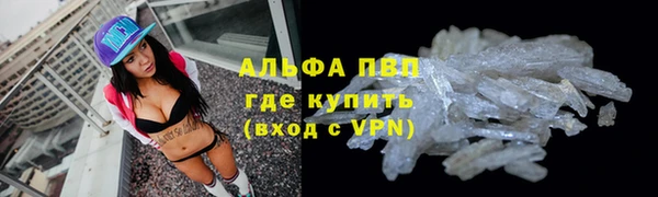 мяу мяу мука Баксан