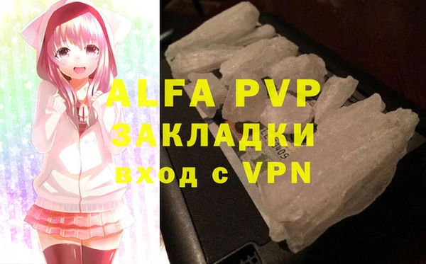 мяу мяу мука Баксан