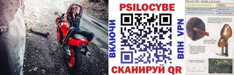 Псилоцибиновые грибы Psilocybe  darknet как зайти  ОМГ ОМГ вход  Белоярский  цены  